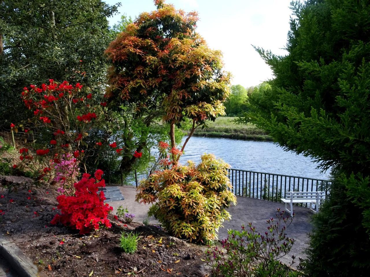 The Grove Lodge Guesthouse Killorglin Εξωτερικό φωτογραφία