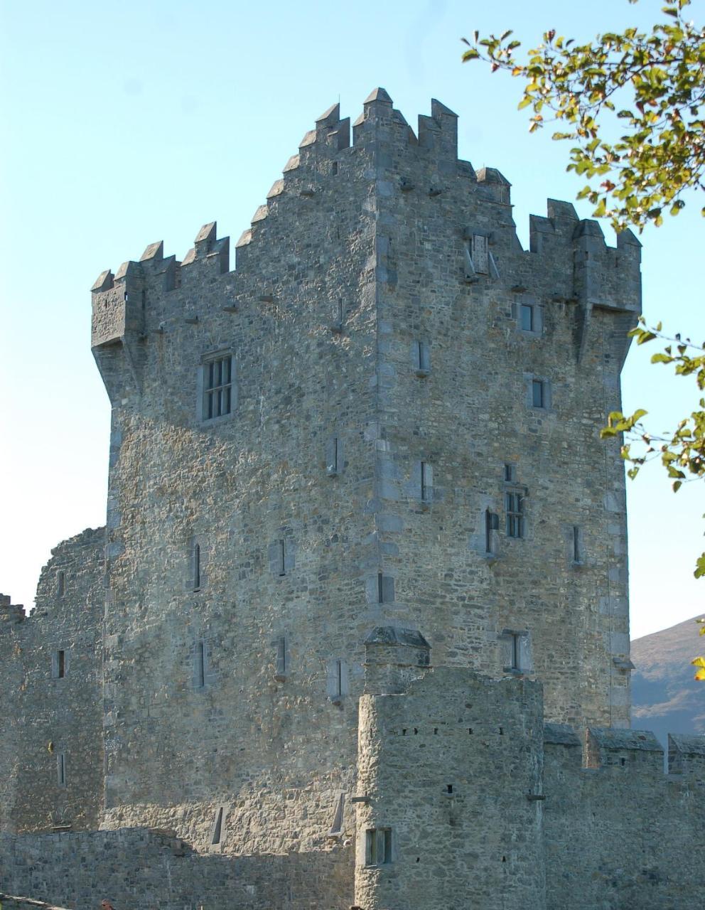 The Grove Lodge Guesthouse Killorglin Εξωτερικό φωτογραφία